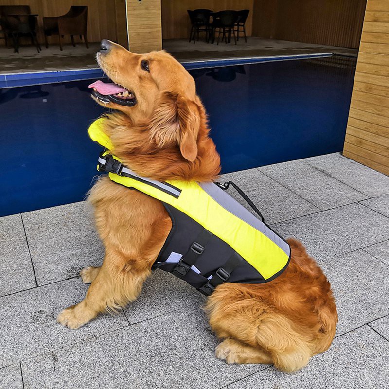 Summer Dog Cooling Vest